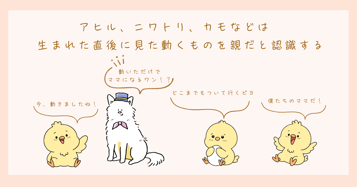 刷り込み
