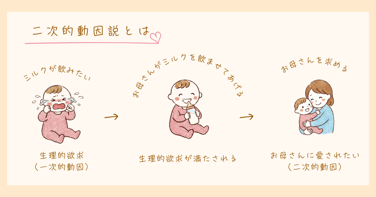 発達心理学　二次的動因説　シアーズ