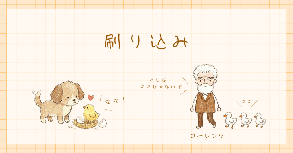 発達心理学　刷り込み　ローレンツ