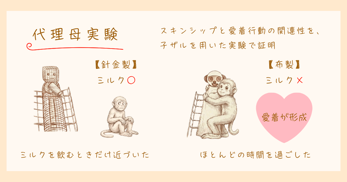 代理母実験 愛着 ハーロウ 心理学