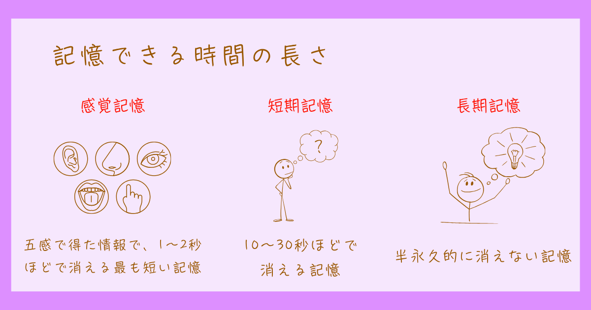 認知心理学 感覚記憶 短期記憶 長期記憶