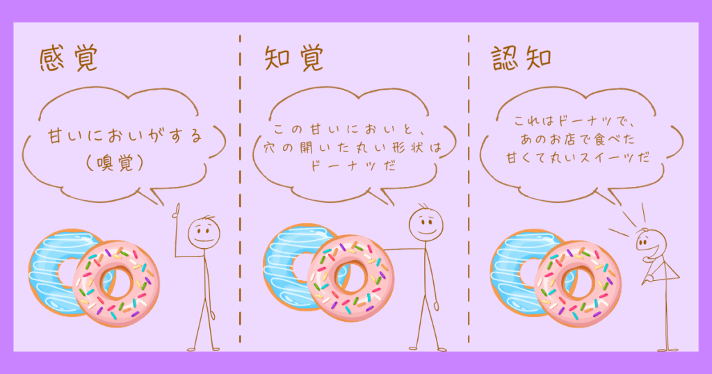 認知心理学とは? 感覚・知覚・認知の違いについて - こんにちは!心理学