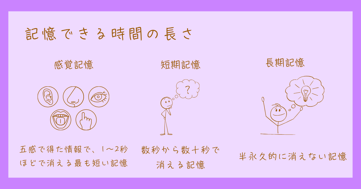 記憶　心理学　種類
