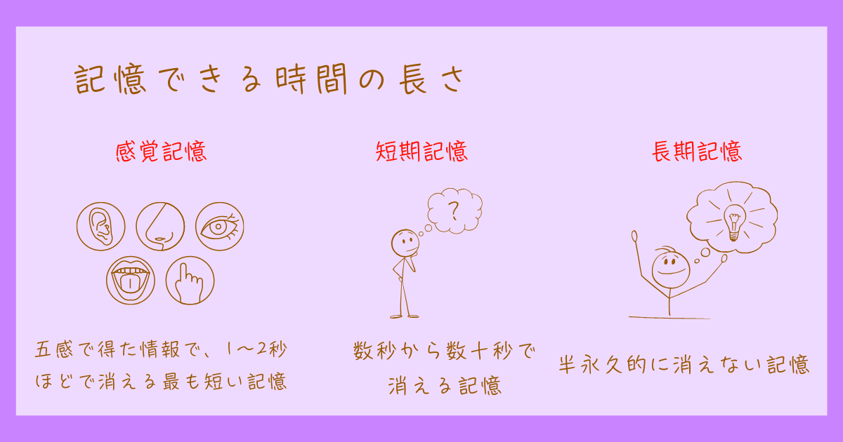 記憶　心理学　種類