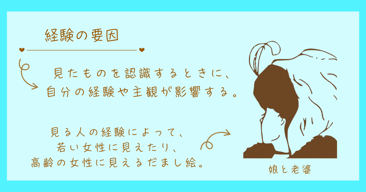 経験の要因　ヴェルトハイマー