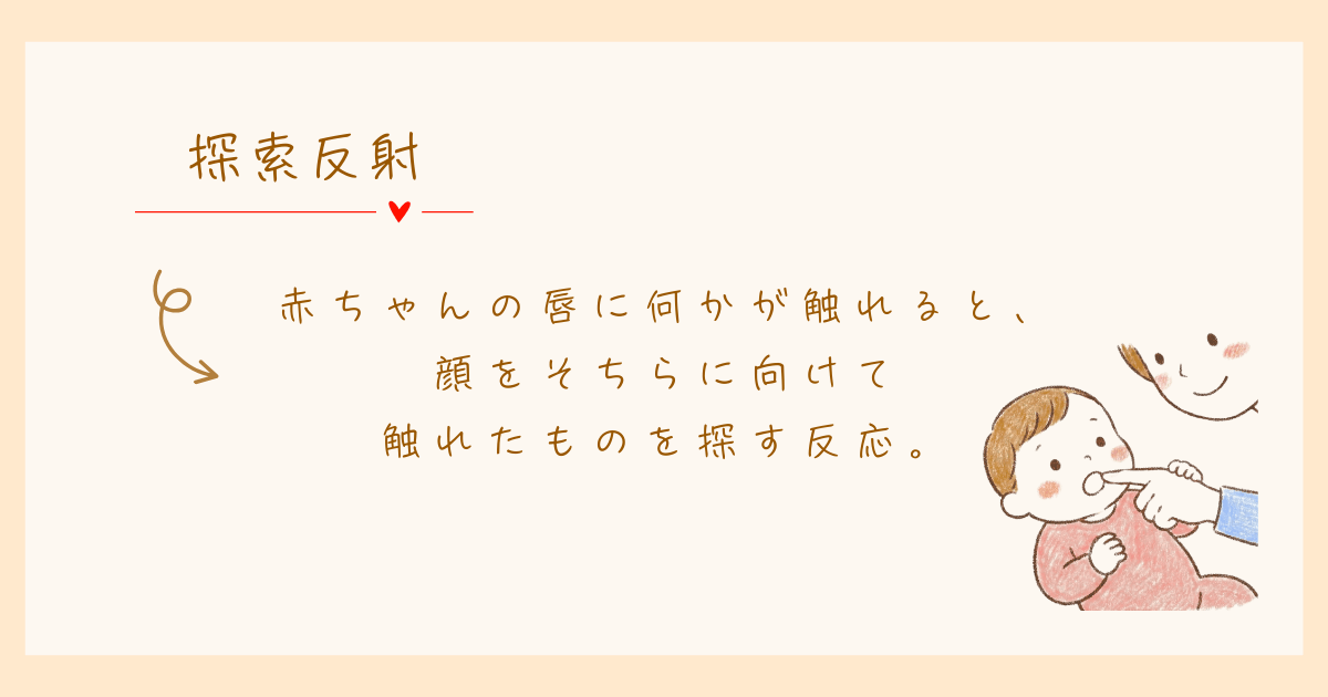 探索反射　原始反射　発達心理学