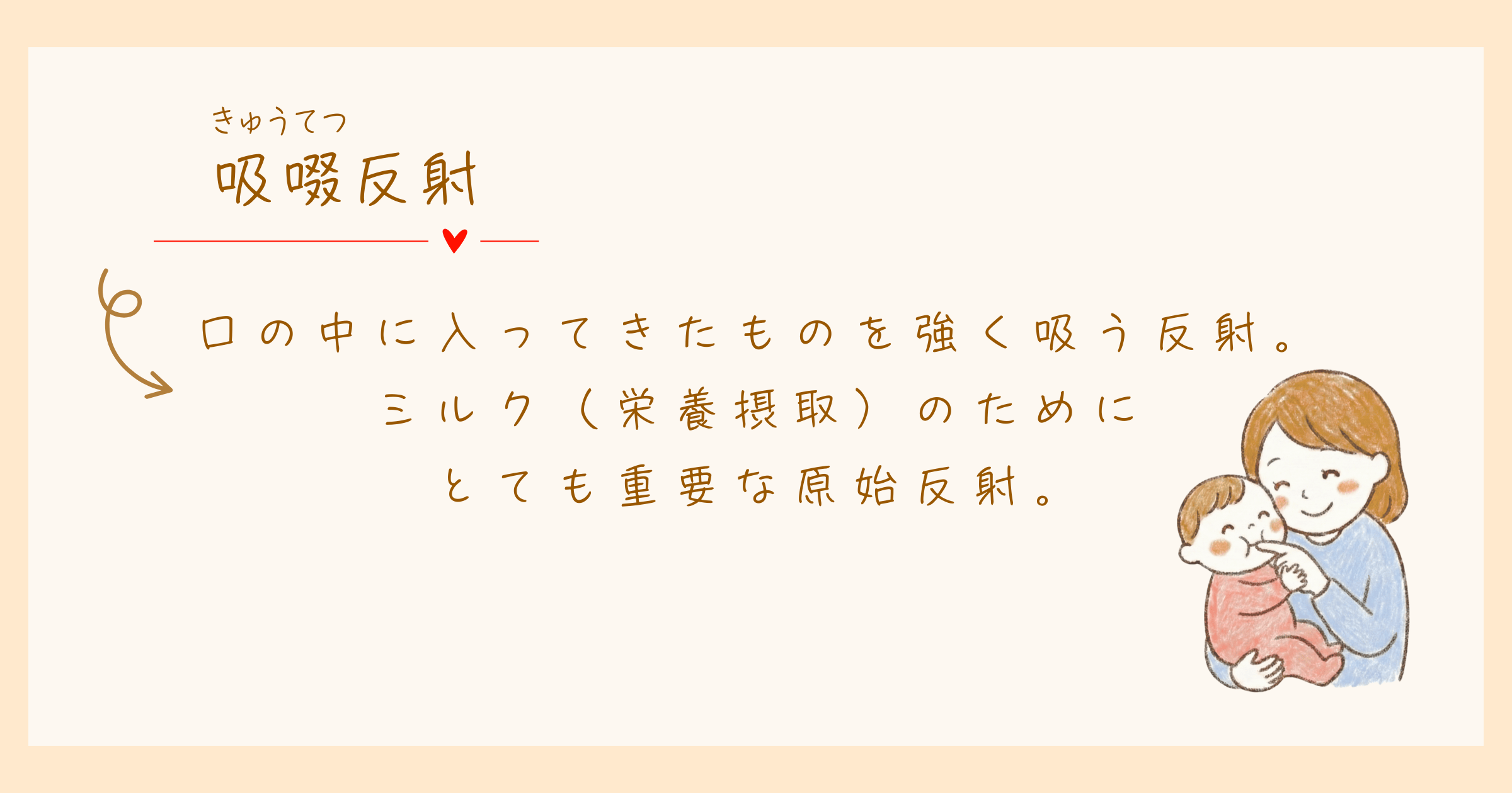 吸啜反射　原始反射　発達心理学