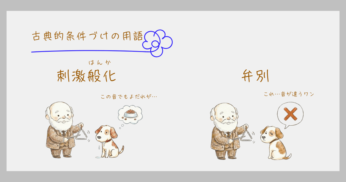 古典的条件づけ パブロフの犬 用語