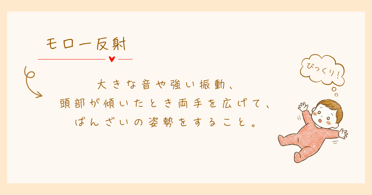 モロー反射　原始反射　発達心理学