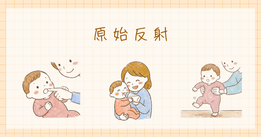 原始反射とは　発達心理学