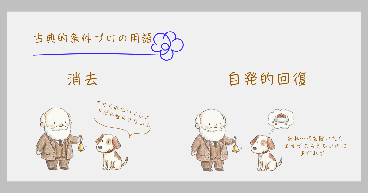 古典的条件づけ パブロフの犬 用語
