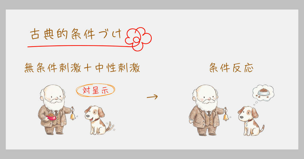 古典的条件づけ パブロフの犬