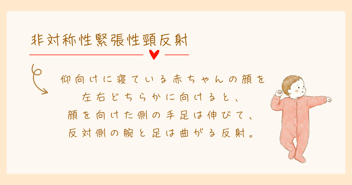 非対称性緊張性頸反射　原始反射　発達心理学