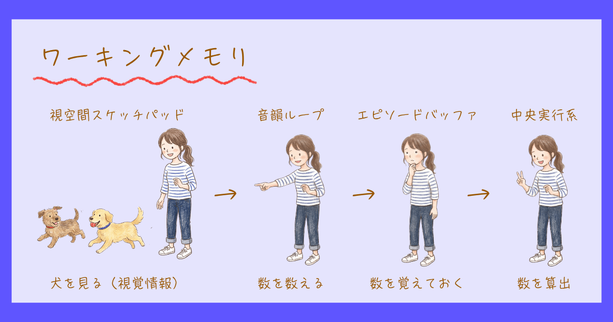 ワーキングメモリ　短期記憶　認知心理学