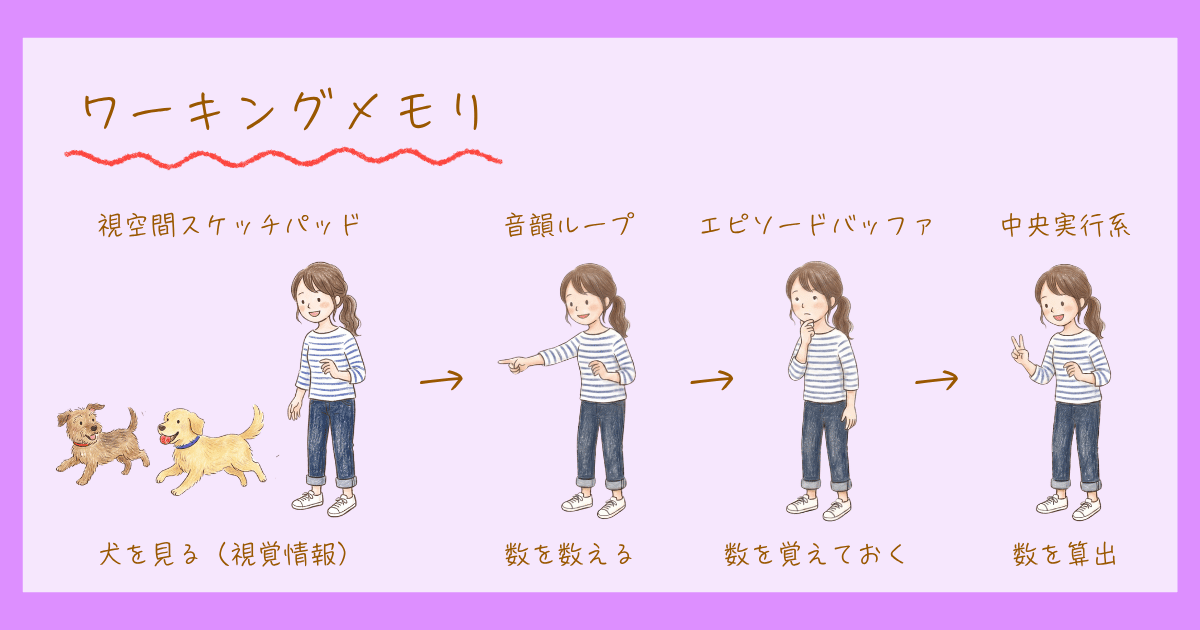 短期記憶 ワーキングメモリ 認知心理学