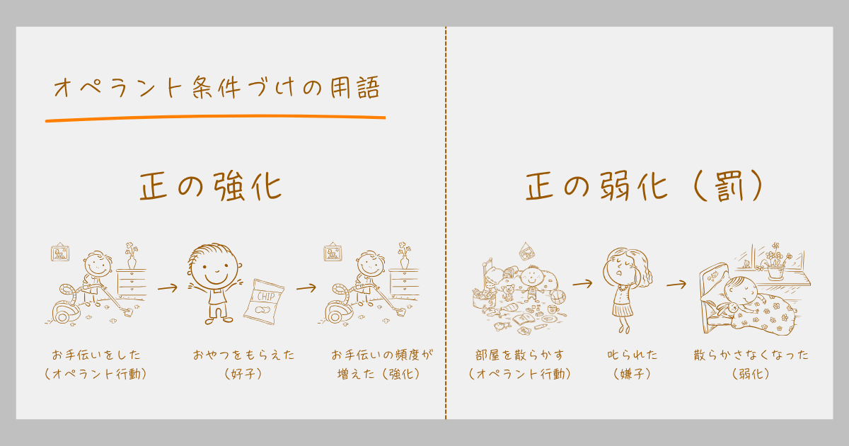 オペラント条件づけ 正の強化 正の弱化(罰) スキナー