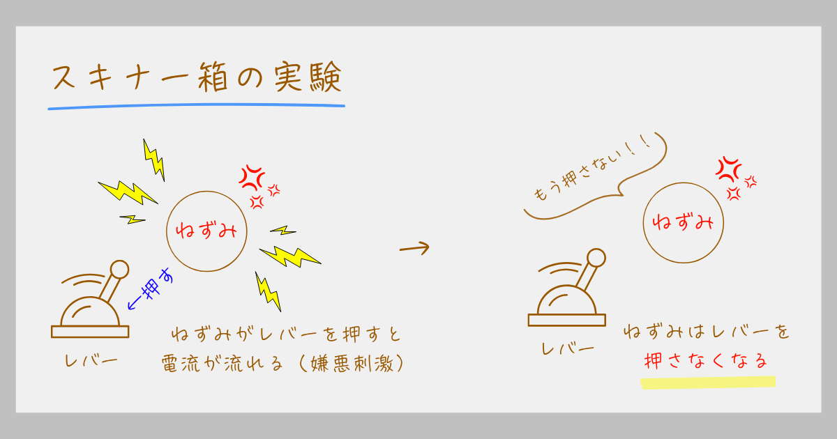スキナー オペラント条件づけ スキナー箱 実験 心理学