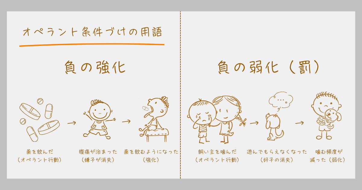 オペラント条件づけ 負の強化 負の弱化(罰) スキナー