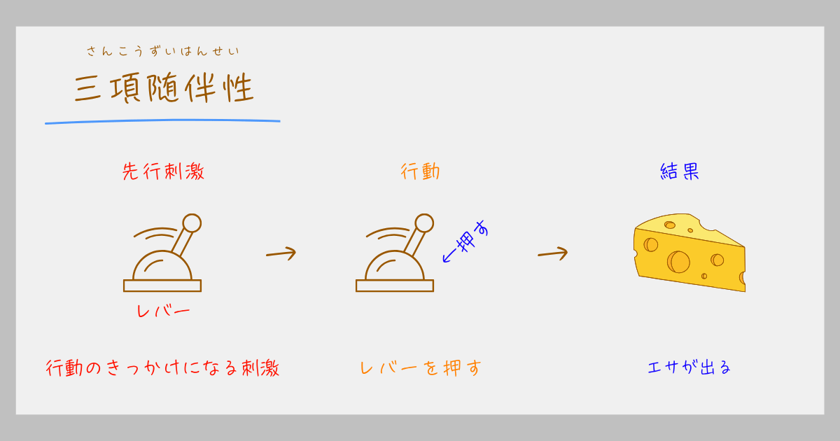 三項随伴性 スキナー 心理学