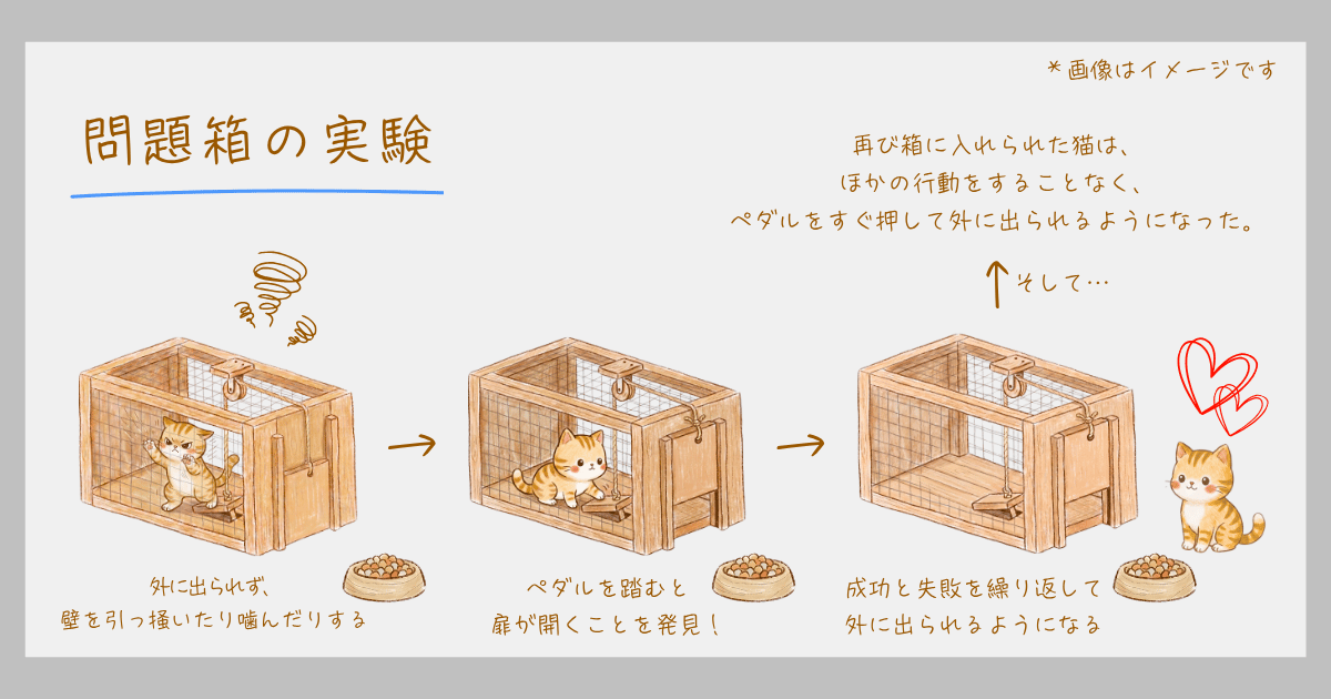 試行錯誤学習　ソーンダイク　問題箱