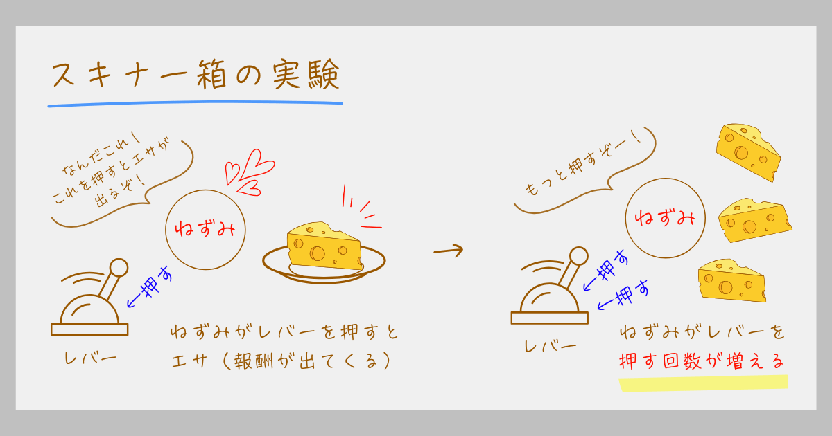 スキナー オペラント条件づけ スキナー箱 実験 心理学