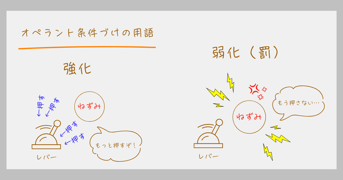 オペラント条件づけ 強化 罰 スキナー