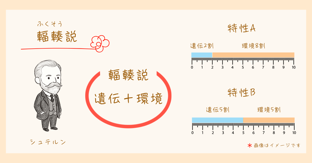輻輳説 シュテルン 発達心理学