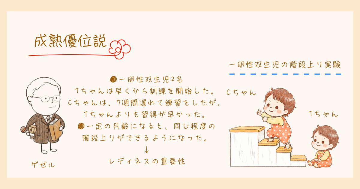 成熟優位説 ゲゼル 発達心理学