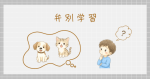 弁別学習　学習心理学　スキナー