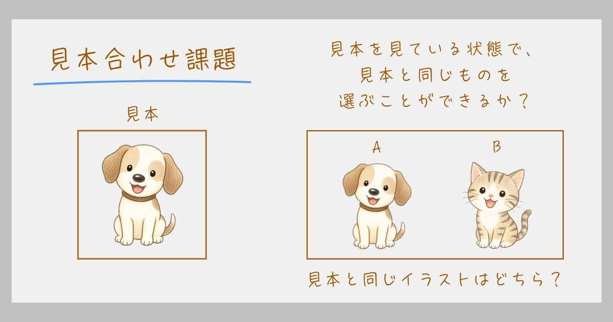 弁別学習　学習心理学　見合わせ課題