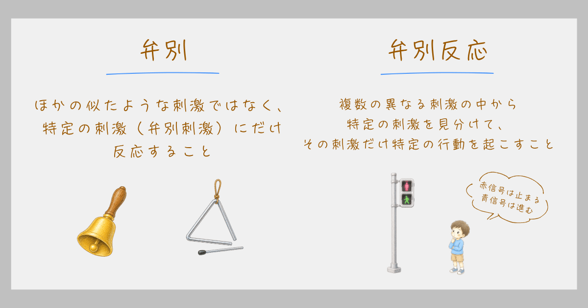 弁別学習　学習心理学　スキナー