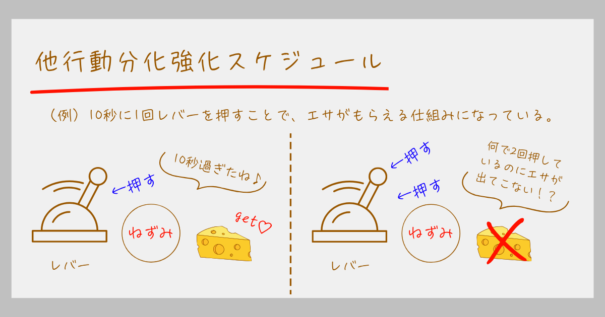 強化スケジュール スキナー オペラント条件づけ 連続強化 部分強化