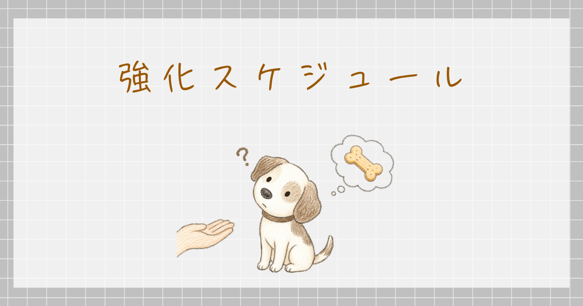 強化スケジュール スキナー オペラント条件づけ