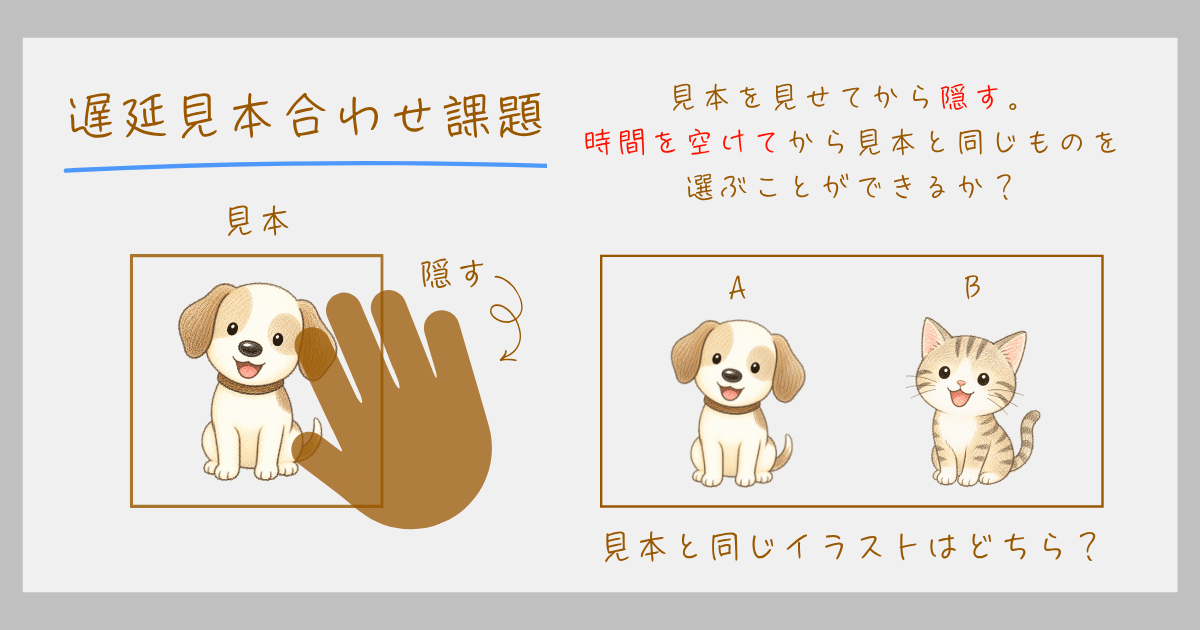 弁別学習　学習心理学　遅延見合わせ課題