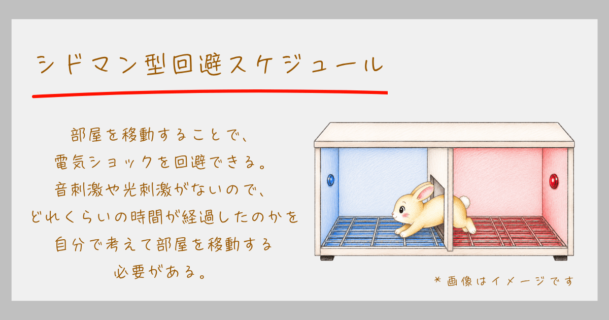 強化スケジュール スキナー オペラント条件づけ 連続強化 部分強化