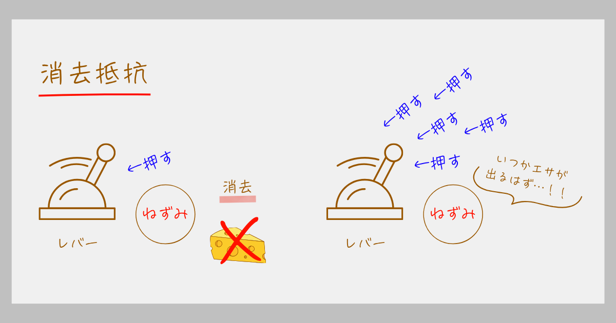強化スケジュール スキナー オペラント条件づけ 連続強化 部分強化 消去抵抗