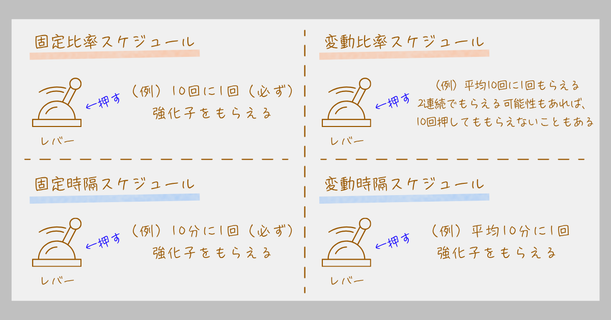 強化スケジュール スキナー オペラント条件づけ 連続強化 部分強化