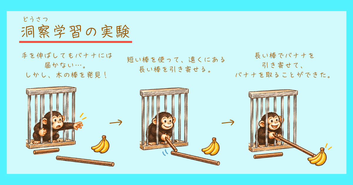 洞察学習 ケーラー ゲシュタルト心理学 チンパンジー